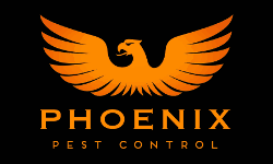 Knoxville pest control, Maryville pest control, phoenix pest control TN