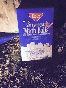 Knoxville pest control, Maryville pest control, moth balls,