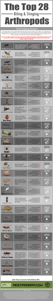 Knoxville pest control, Maryville pest control, lukeguy.com, infographic, biting and stinging insects