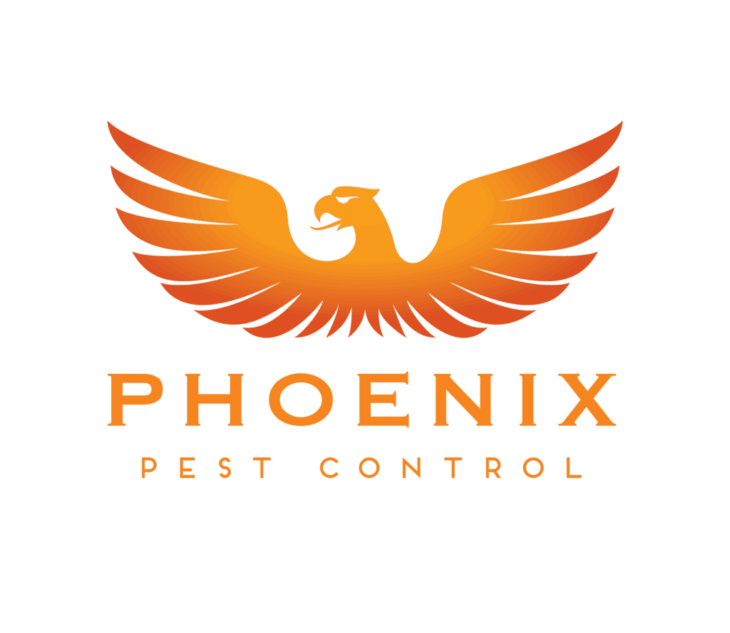 phoenix 01