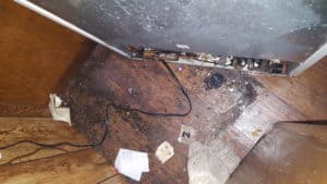 Knoxville pest control, roaches, refrigerator