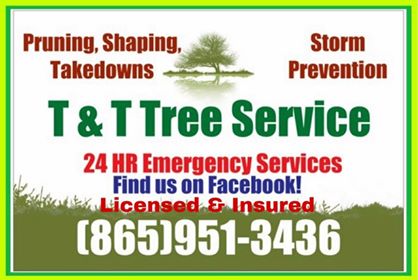 http://www.facebook.com/tandttreeservices