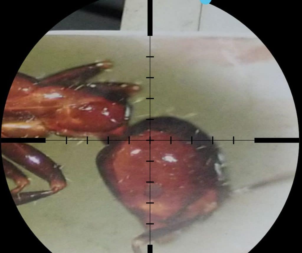 bug sniper