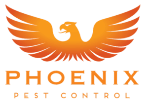 Get Rid of Bugs with Phoenix Pest Control | Maryville & Knoxville, TN