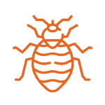 icons orange CR-06