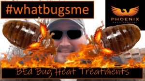 Phoenix Pest Control Bed Bug Heat Thumbnail