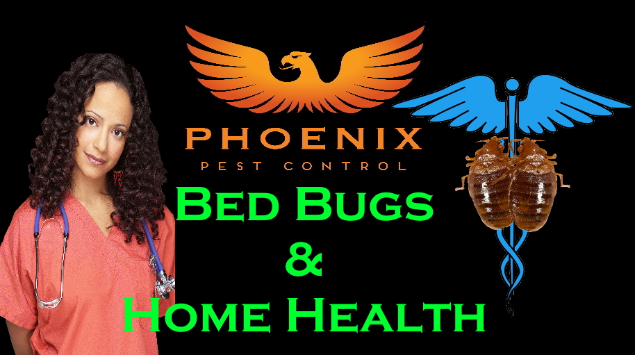 WBM S4 Bed Bugs Home Healththumbnail