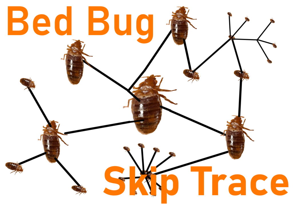 Bed Bug Skip Trace Phoenix Pest Control TN