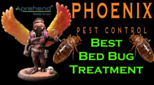 Phoenix Pest Control TN Aprehend Bed bugs
