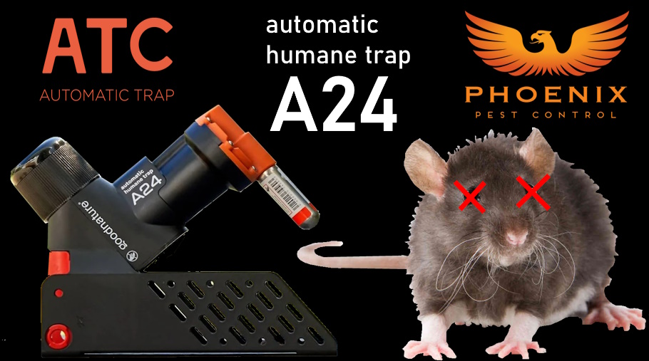 A24 rodent trap Phoenix Pest Control TN