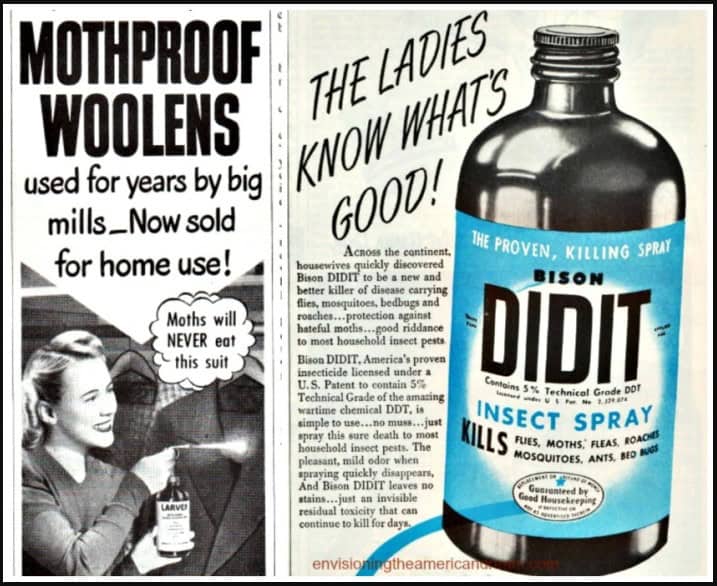 DDT Bed Bugs Phoenix Pest Control