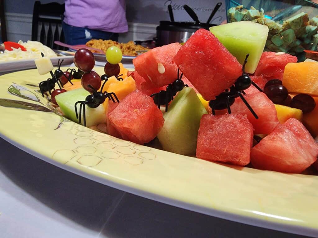 ants picnic Phoenix Pest Control TN