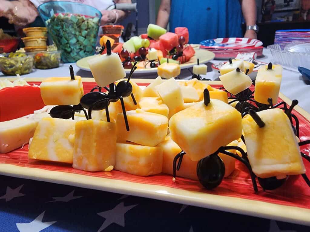 ants picnic Phoenix Pest Control TN